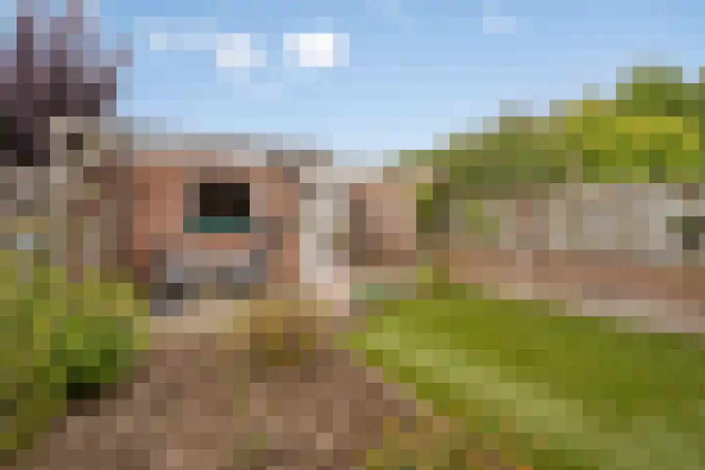 Braambes 21 Oss thumbnail 19