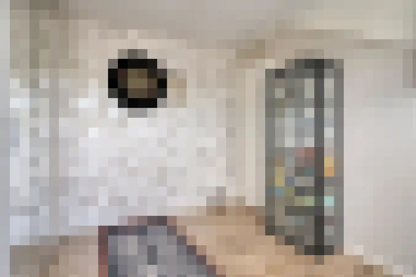 Braambes 21 Oss thumbnail 27
