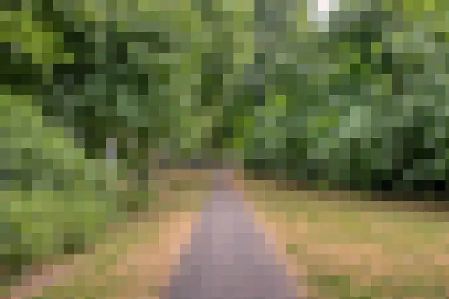 Braambes 21 Oss thumbnail 31