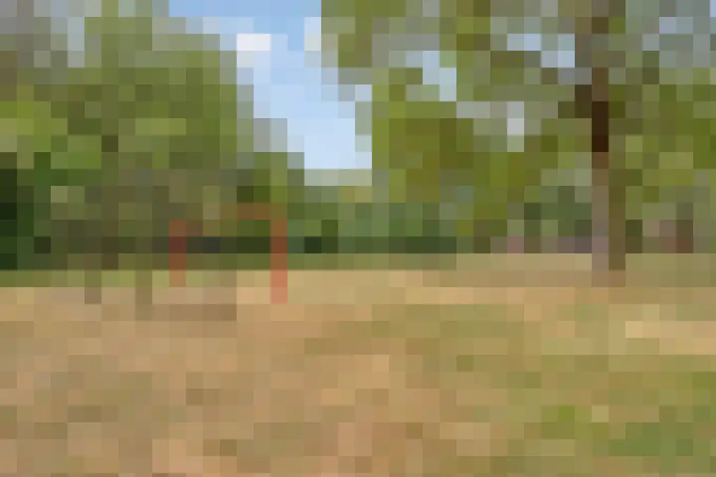 Braambes 21 Oss thumbnail 32
