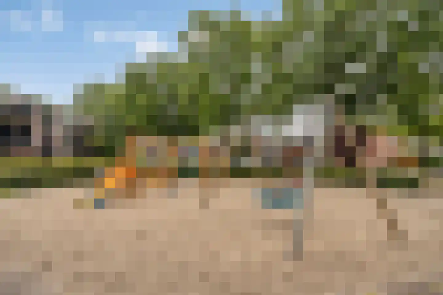 Braambes 21 Oss thumbnail 33