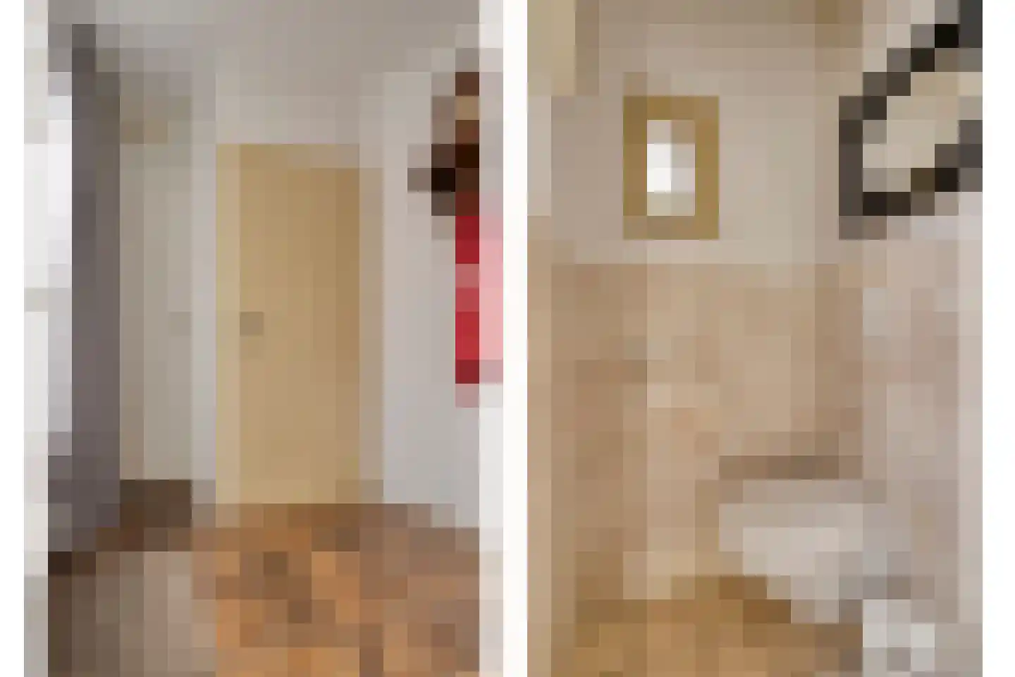 Braambes 21 Oss thumbnail 6