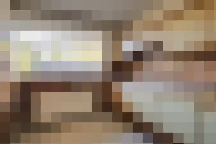 Braambes 3 Leiden thumbnail 14