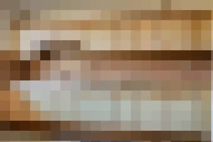 Braambes 3 Leiden thumbnail 15