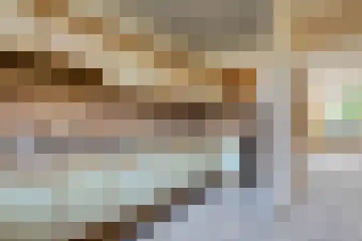 Braambes 3 Leiden thumbnail 16