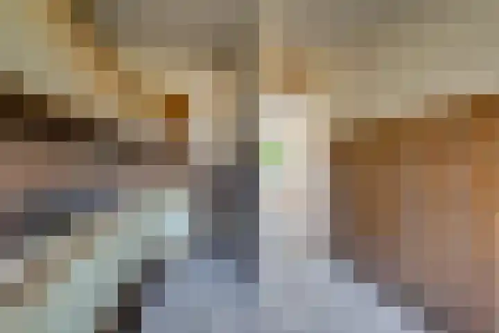 Braambes 3 Leiden thumbnail 17