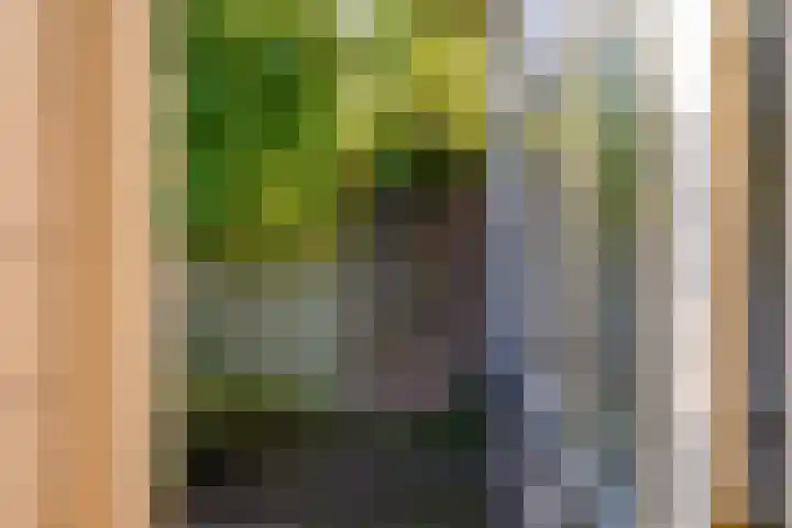 Braambes 3 Leiden thumbnail 18