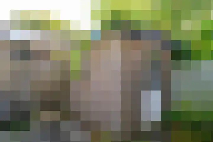 Braambes 3 Leiden thumbnail 20