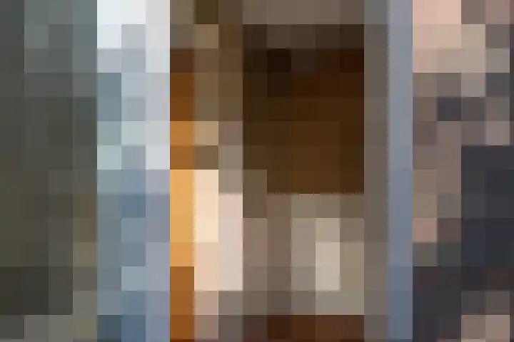 Braambes 3 Leiden thumbnail 23