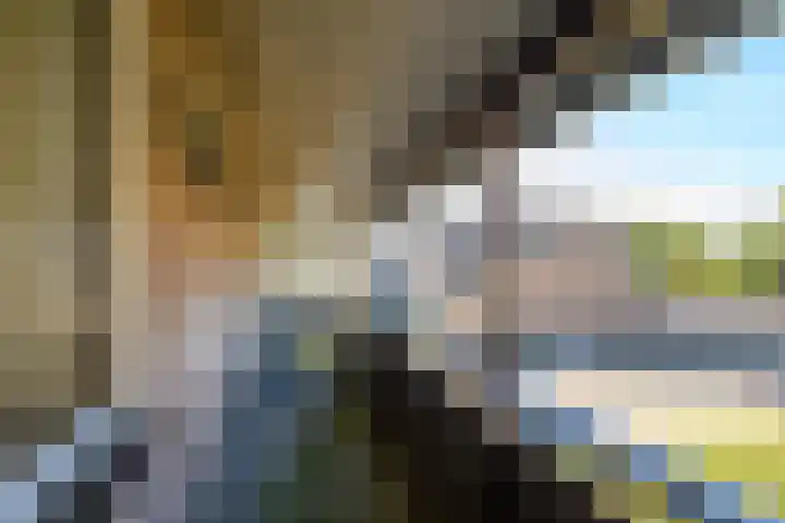 Braambes 3 Leiden thumbnail 35