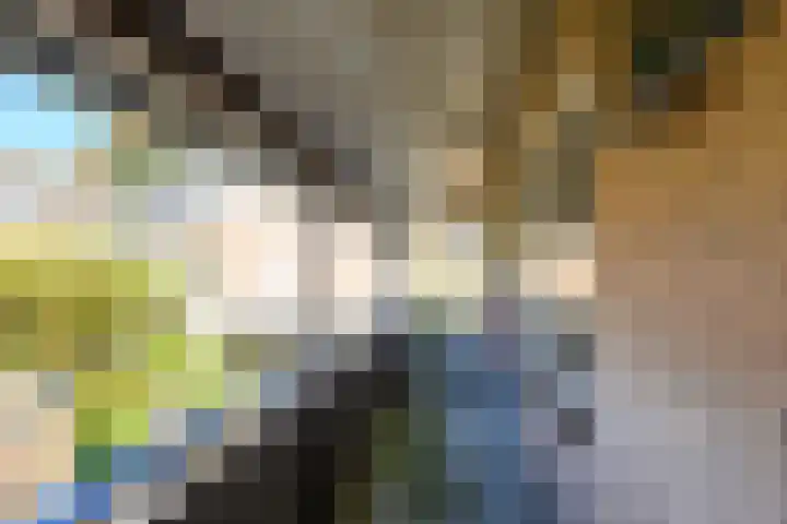 Braambes 3 Leiden thumbnail 36