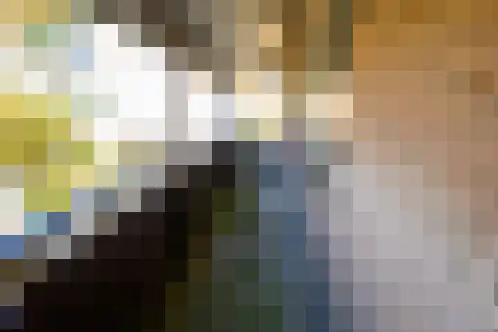 Braambes 3 Leiden thumbnail 37