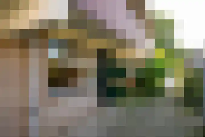 Braambes 3 Leiden thumbnail 4