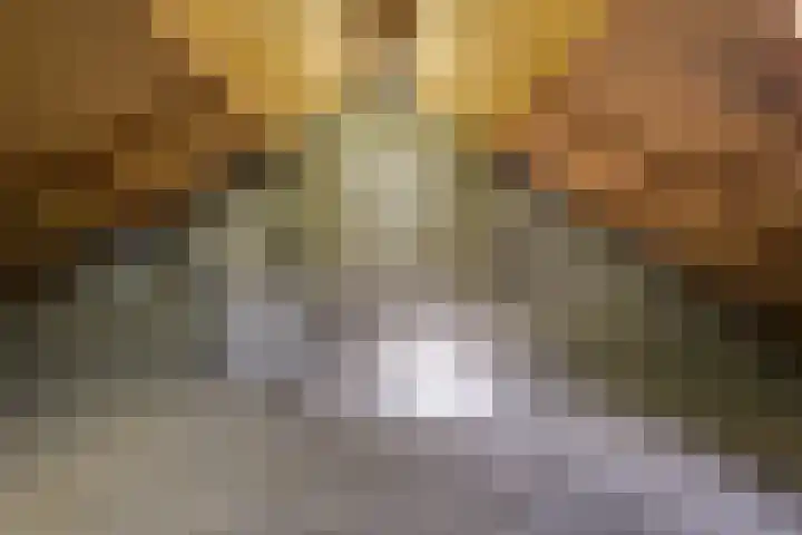 Braambes 3 Leiden thumbnail 41