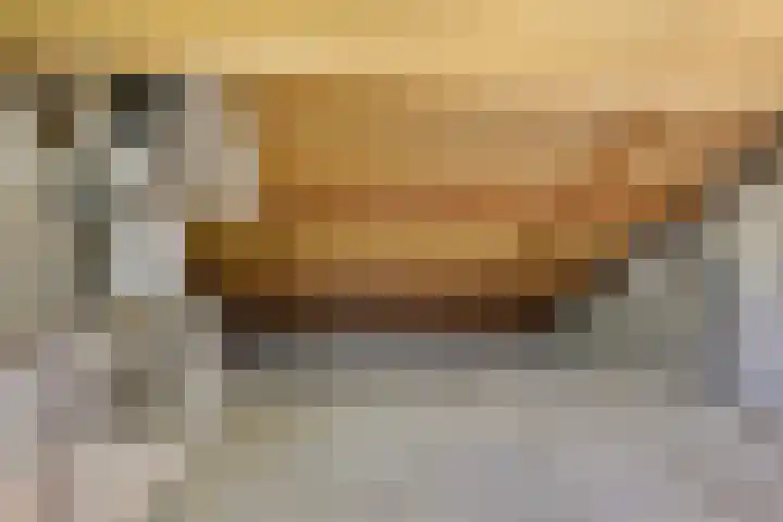 Braambes 3 Leiden thumbnail 42