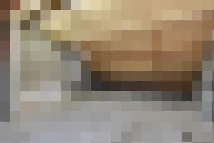 Braambes 3 Leiden thumbnail 43