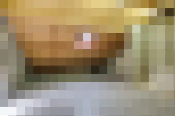 Braambes 3 Leiden thumbnail 44