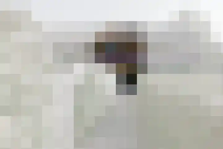 Braambes 3 Leiden thumbnail 45
