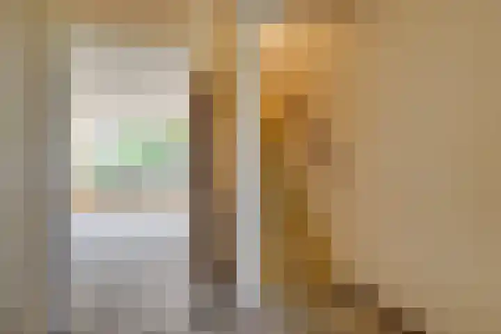 Braambes 3 Leiden thumbnail 7
