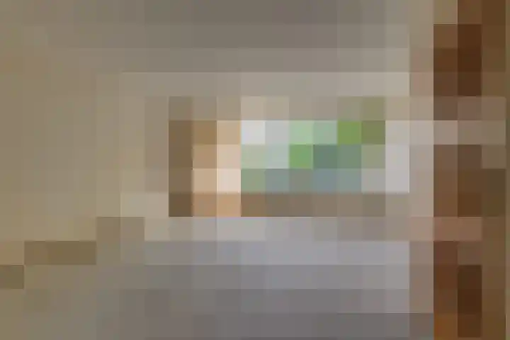 Braambes 3 Leiden thumbnail 8