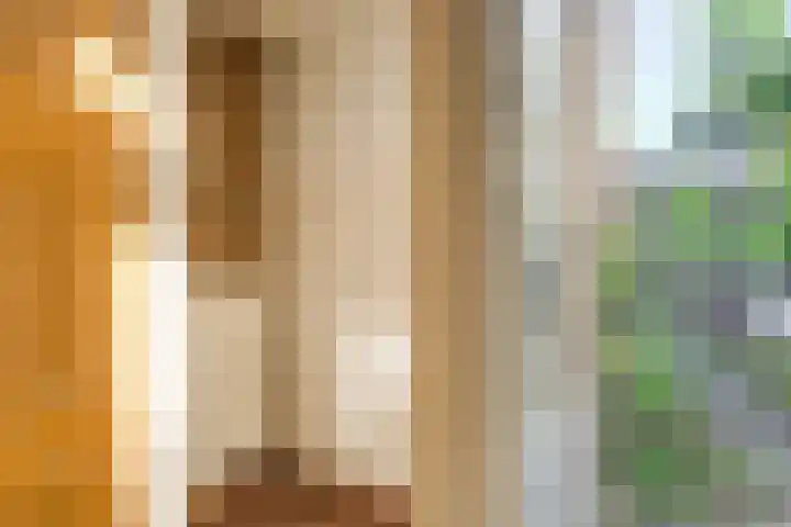 Braambes 3 Leiden thumbnail 9