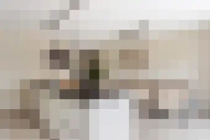Braambes 9 Borne thumbnail 11