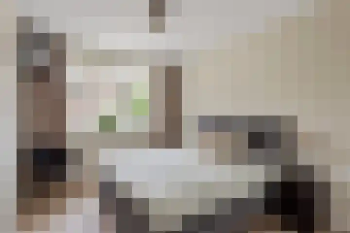 Braambes 9 Borne thumbnail 13