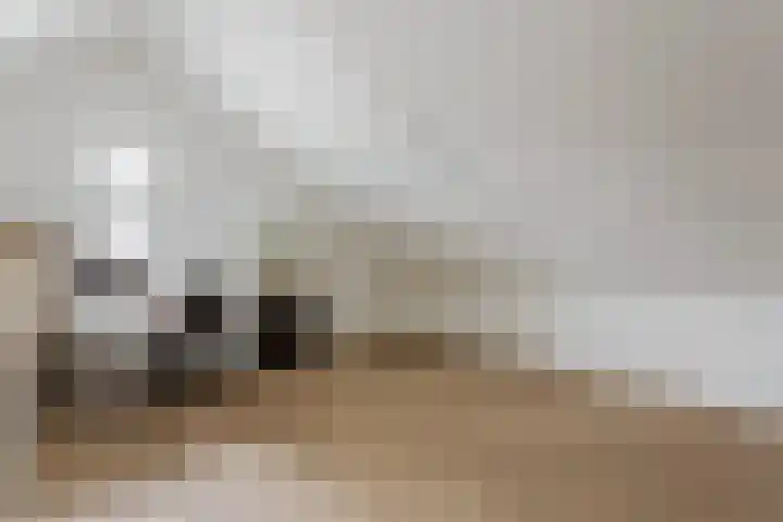 Braambes 9 Borne thumbnail 18