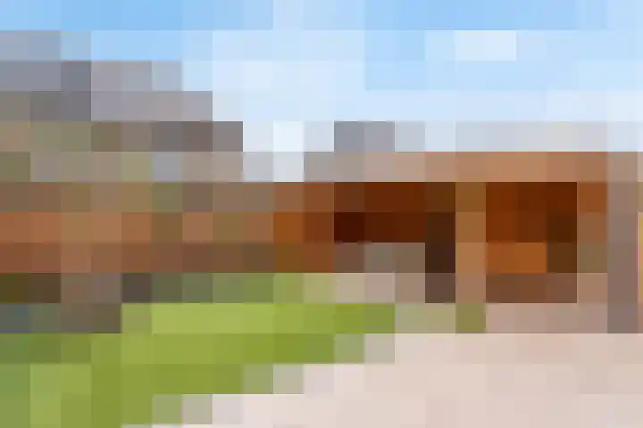 Braambes 9 Borne thumbnail 20