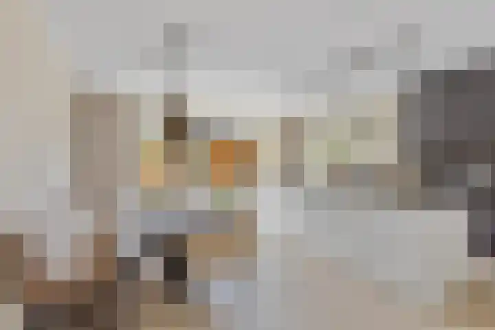 Braambes 9 Borne thumbnail 9