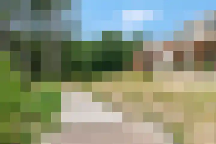 Braambeshof 24 Ede thumbnail 42
