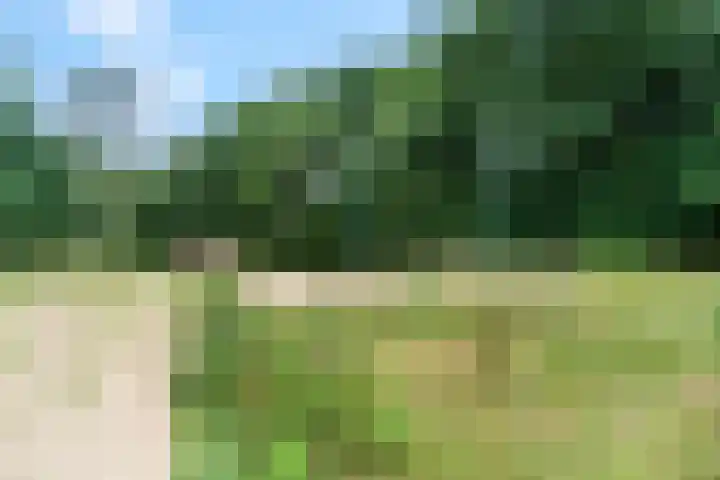 Braambeshof 24 Ede thumbnail 49