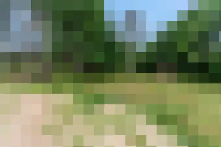 Braambeshof 24 Ede thumbnail 50