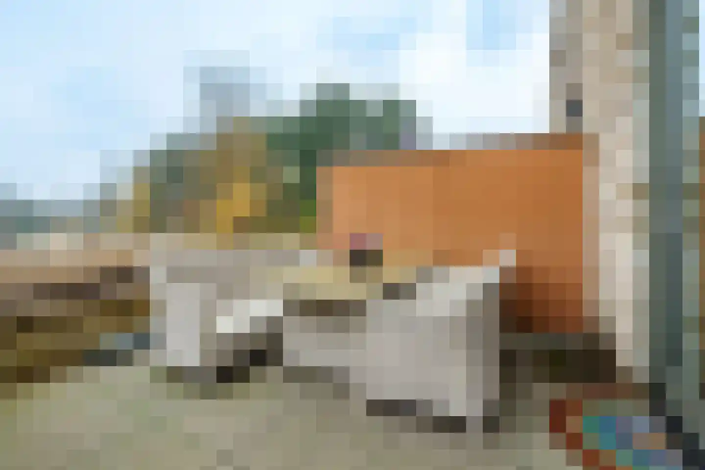 Braambeshof 28 Ede thumbnail 24