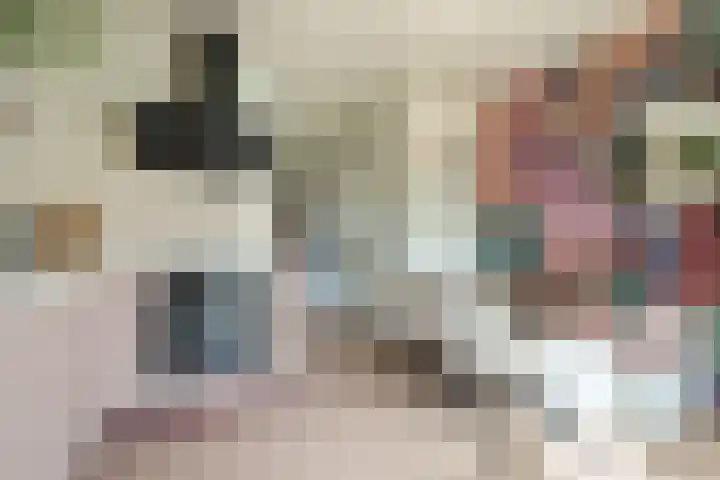 Braambeshof 32 Ede thumbnail 14