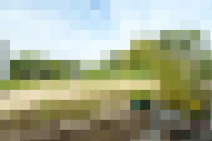 Braambeshof 32 Ede thumbnail 26