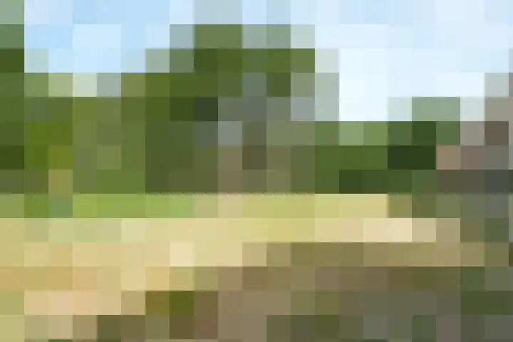 Braambeshof 32 Ede thumbnail 31