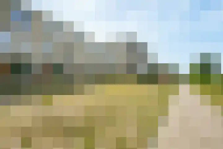 Braambeshof 32 Ede thumbnail 32