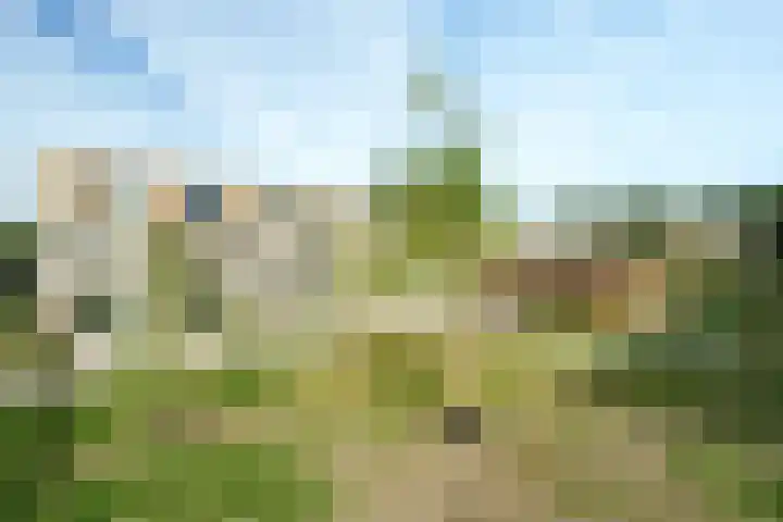 Braambeshof 32 Ede thumbnail 4