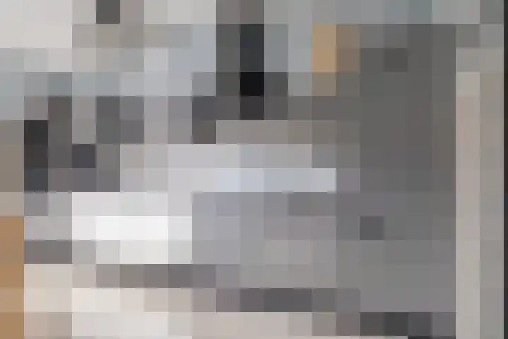 Braambeslaan 10 Valkenswaard thumbnail 8