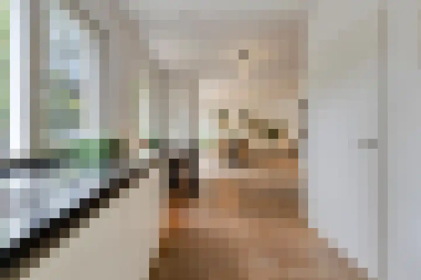 Braambesweg 34 Eindhoven thumbnail 19
