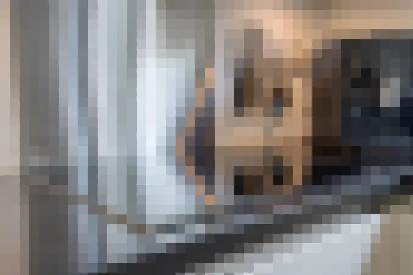 Braambesweg 34 Eindhoven thumbnail 22