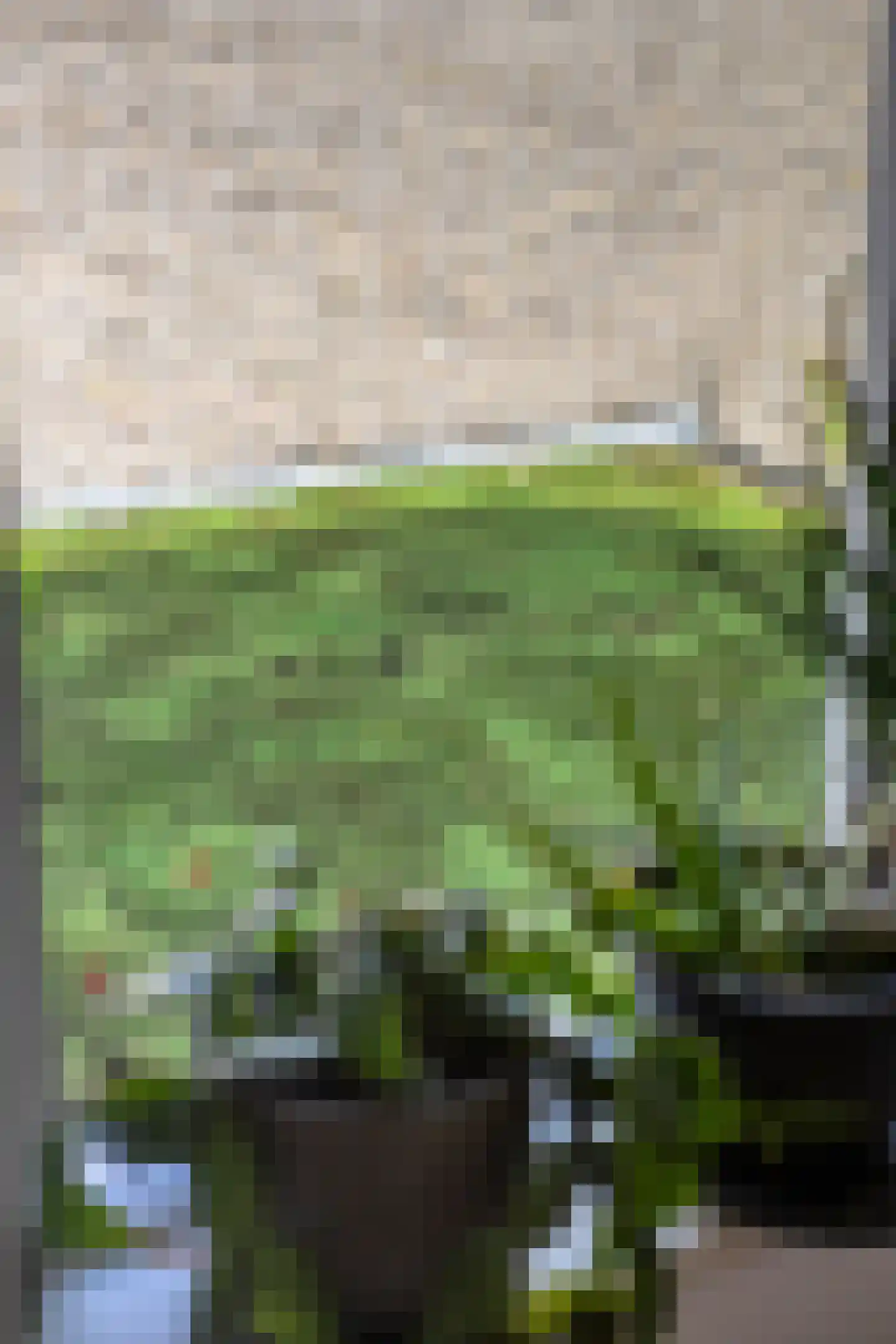 Braambesweg 34 Eindhoven thumbnail 25