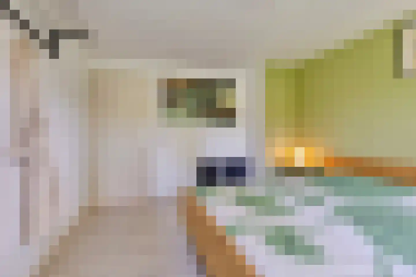 Braambesweg 34 Eindhoven thumbnail 27