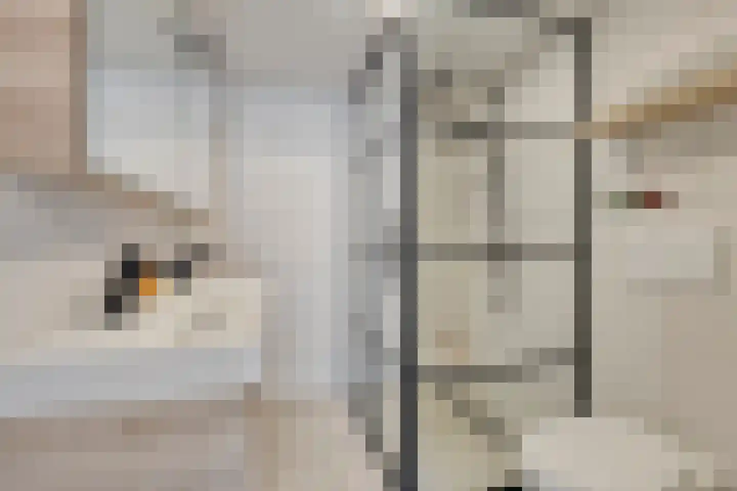 Braambesweg 34 Eindhoven thumbnail 29