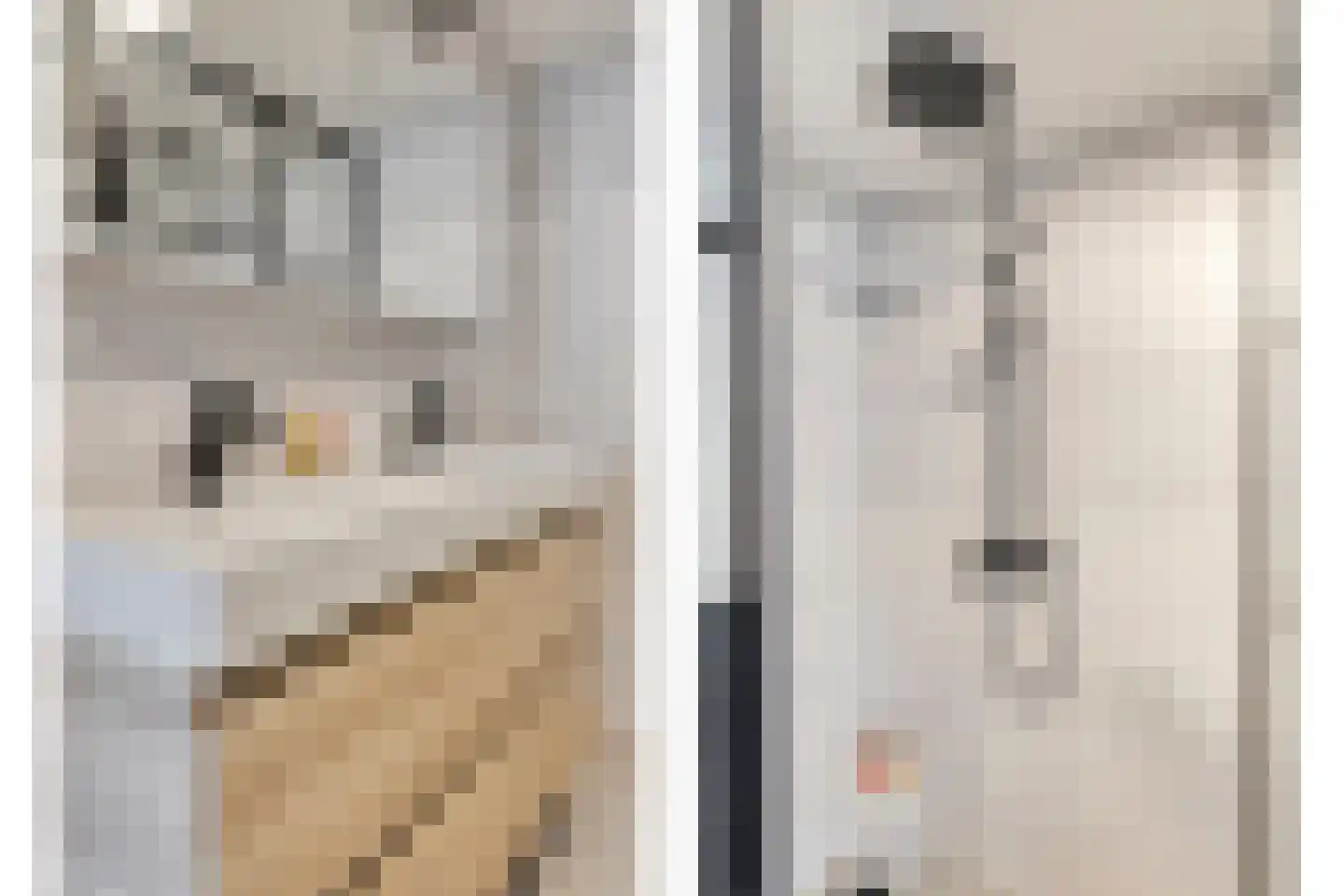 Braambesweg 34 Eindhoven thumbnail 30
