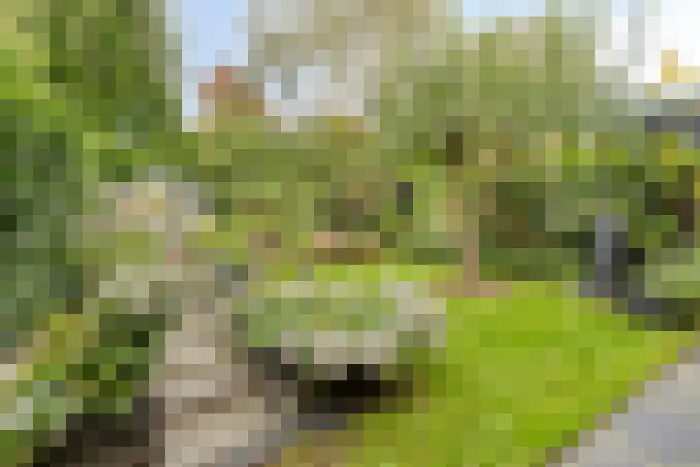 Braambesweg 34 Eindhoven thumbnail 33