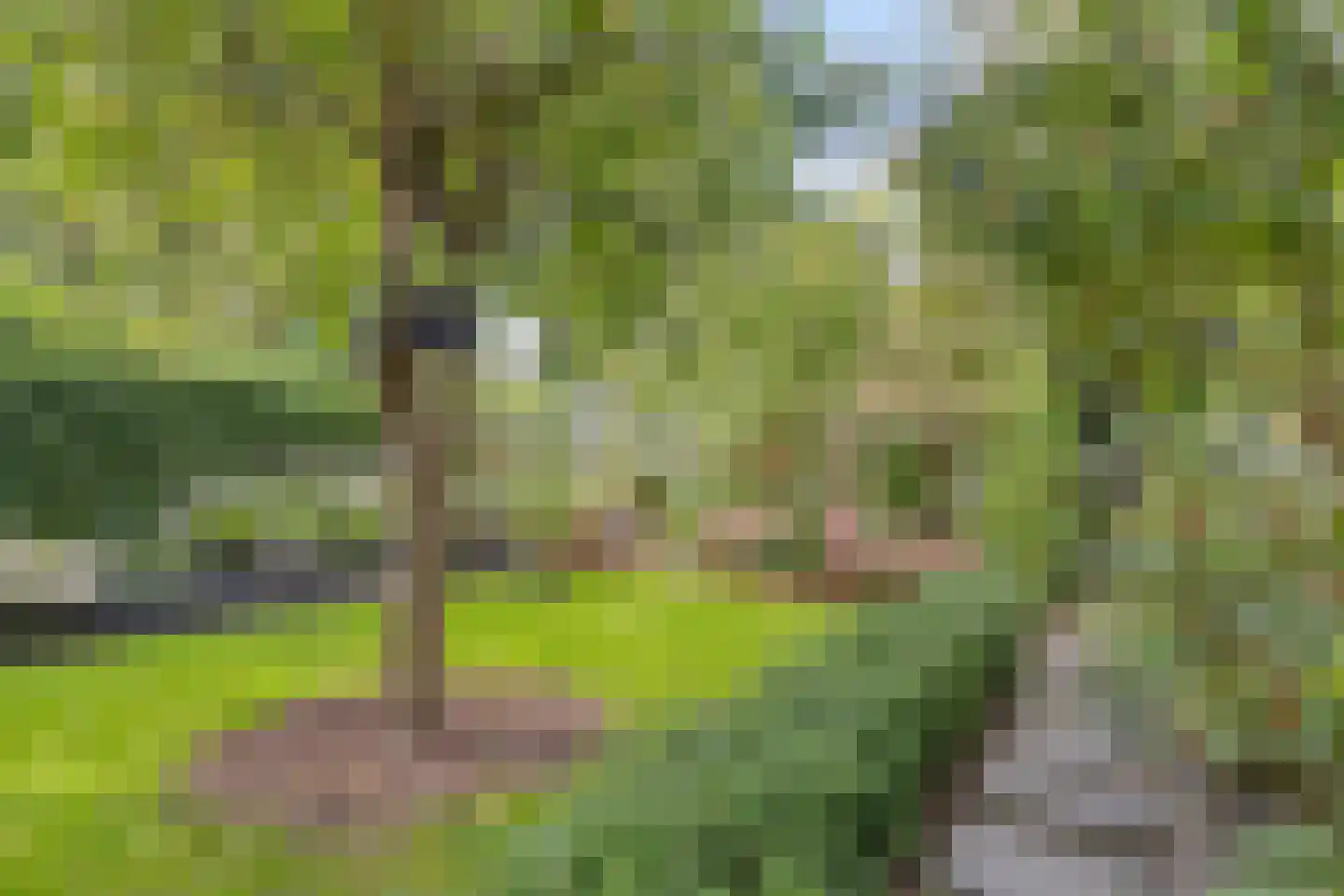 Braambesweg 34 Eindhoven thumbnail 34