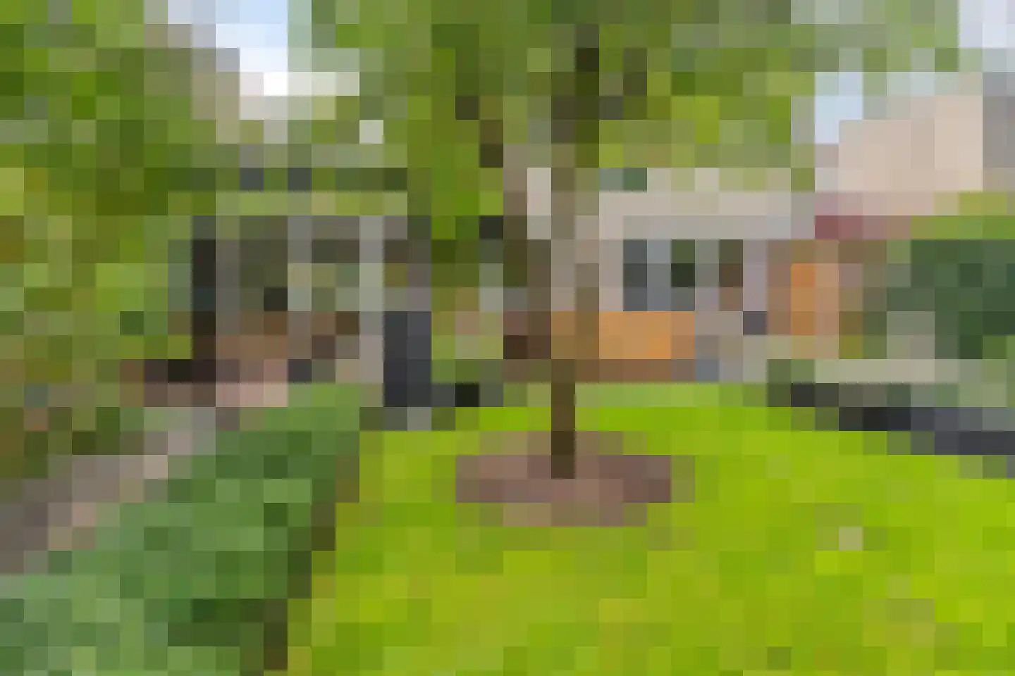 Braambesweg 34 Eindhoven thumbnail 36