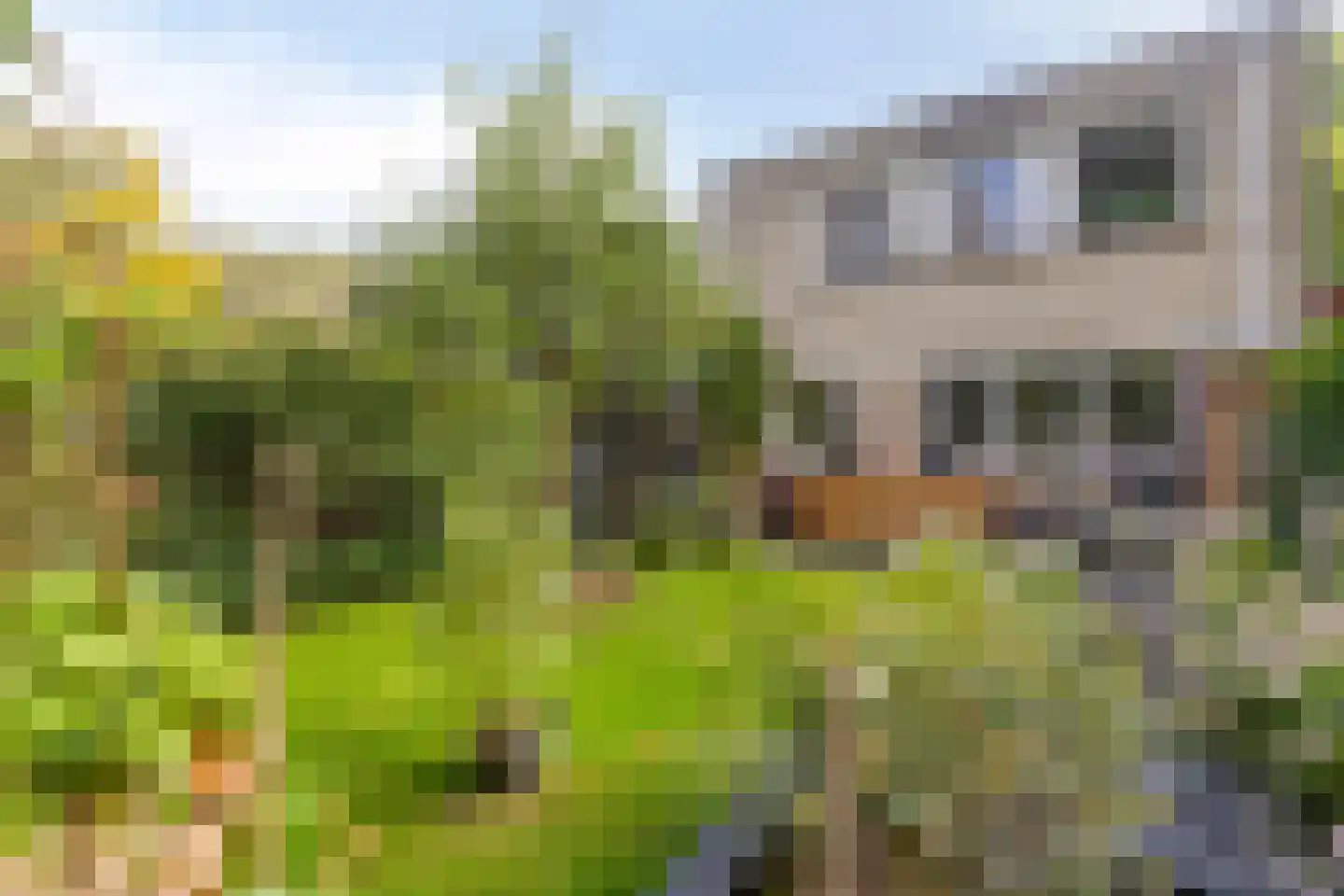 Braambesweg 34 Eindhoven thumbnail 37